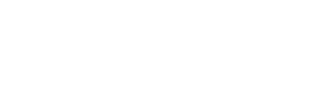 AV planet logo white
